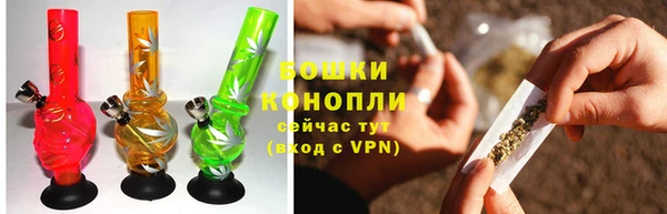 круглые Осинники